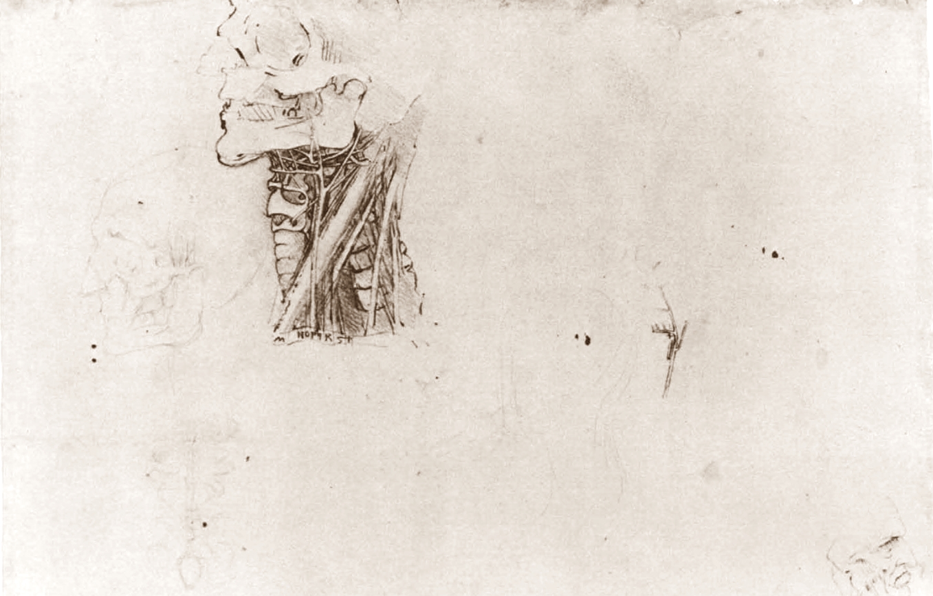 Leonardo+da+Vinci-1452-1519 (753).jpg